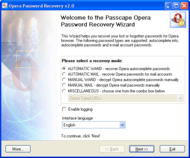 Opera Password Recovery screenshot